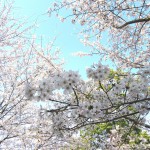 Img_0035