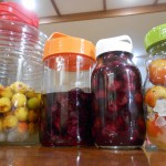 DSCN1729