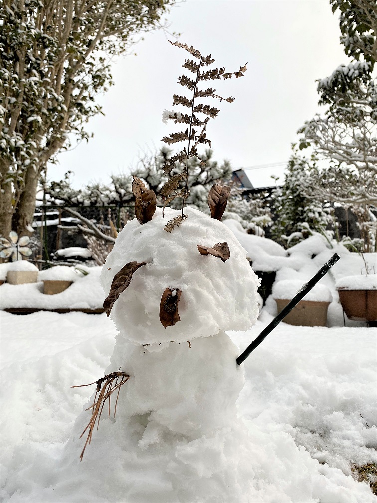 雪だるま②