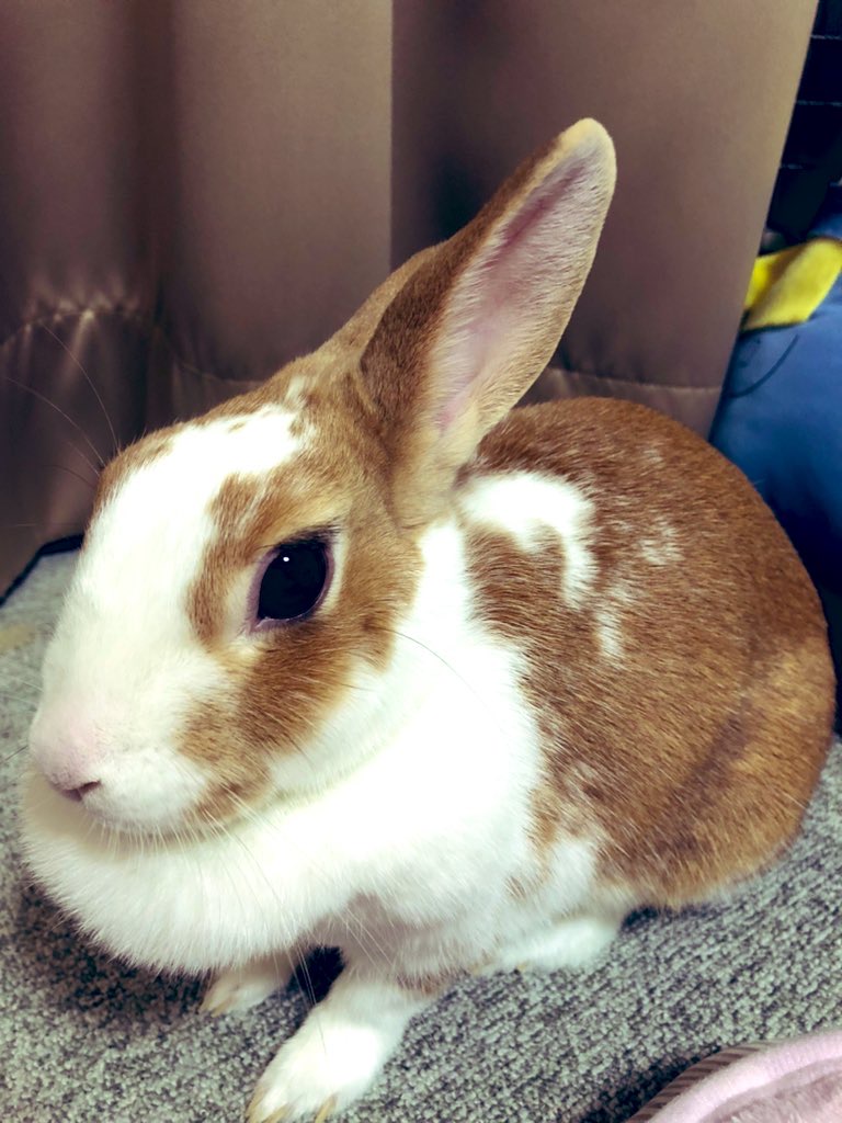 IMG_3608