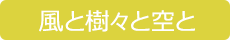 菩提樹デイサービスセンター 「風と樹々と空と」