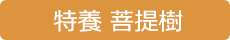 特別養護老人ホーム 菩提樹